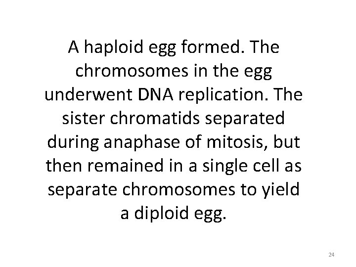 A haploid egg formed. The chromosomes in the egg underwent DNA replication. The sister