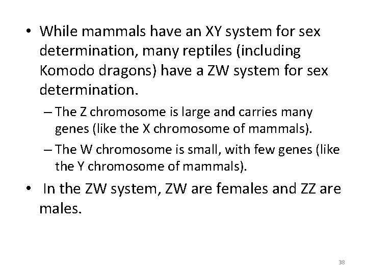  • While mammals have an XY system for sex determination, many reptiles (including