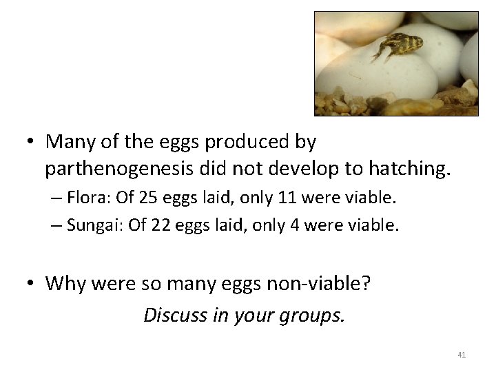  • Many of the eggs produced by parthenogenesis did not develop to hatching.