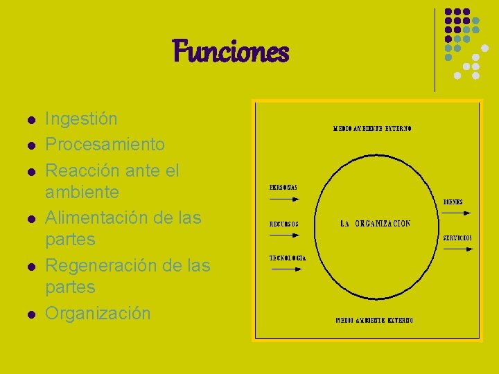 Funciones l l l Ingestión Procesamiento Reacción ante el ambiente Alimentación de las partes