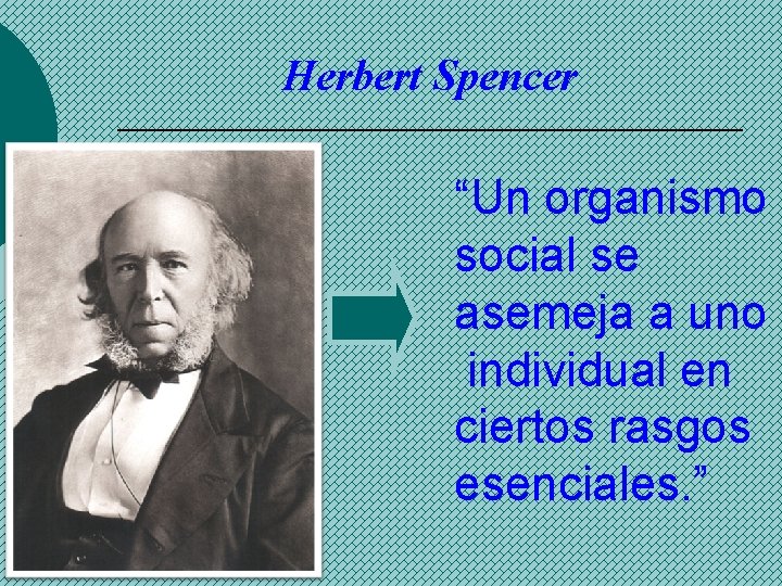 Herbert Spencer “Un organismo social se asemeja a uno individual en ciertos rasgos esenciales.