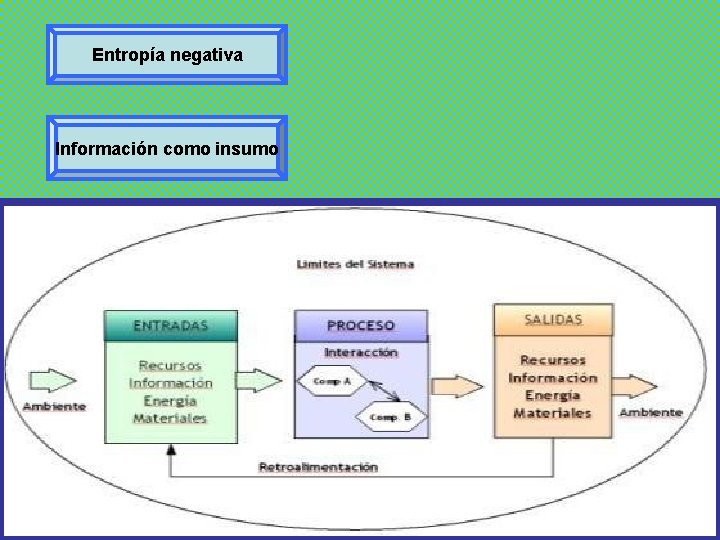 Entropía negativa Información como insumo 