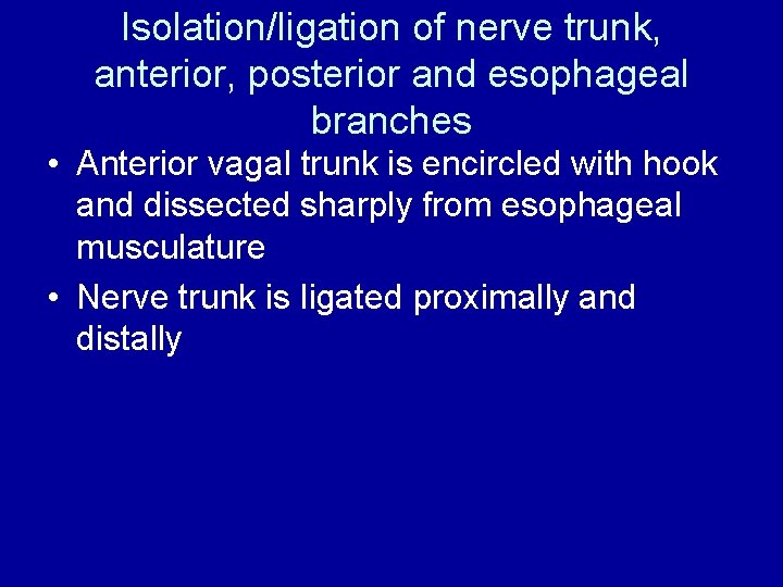 Isolation/ligation of nerve trunk, anterior, posterior and esophageal branches • Anterior vagal trunk is