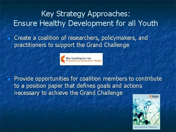 Key Strategy Approaches: Ensure Healthy Development for all Youth Create a coalition of researchers, Key Strategy Approaches: Ensure Healthy Development for all Youth Create a coalition of researchers,