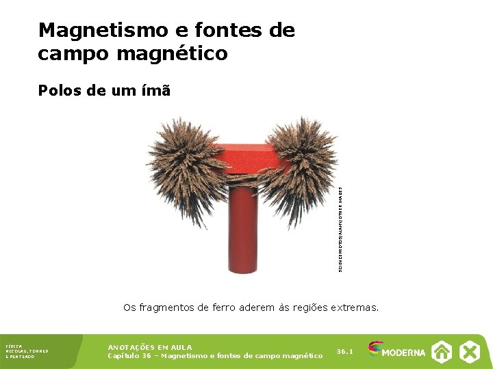 Magnetismo e fontes de campo magnético SCIENCEPHOTOS/ALAMY/OTHER IMAGES Polos de um ímã Os fragmentos