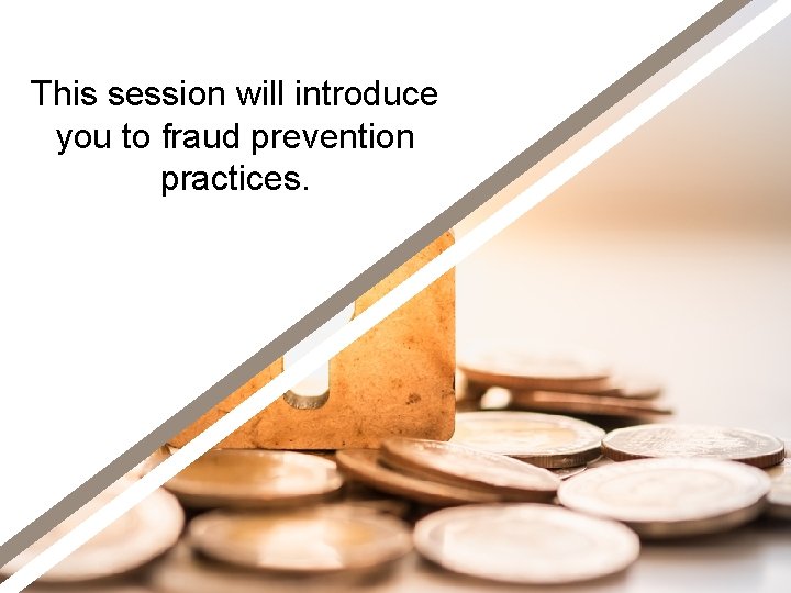 This session will introduce you to fraud prevention practices. 