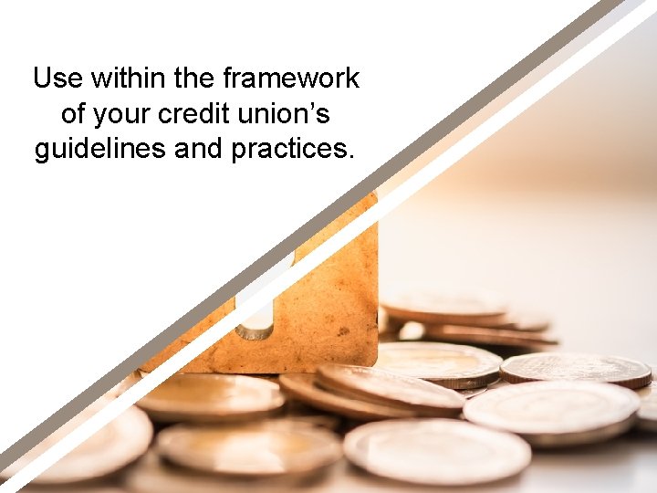 Use within the framework of your credit union’s guidelines and practices. 