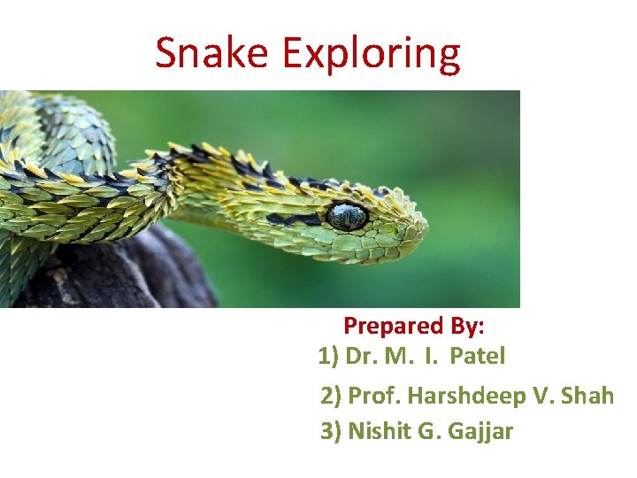 Snake Exploring Prepared By: 1) Dr. M. I. Patel 2) Prof. Harshdeep V. Shah