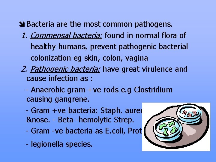 î Bacteria are the most common pathogens. 1. Commensal bacteria: found in normal flora