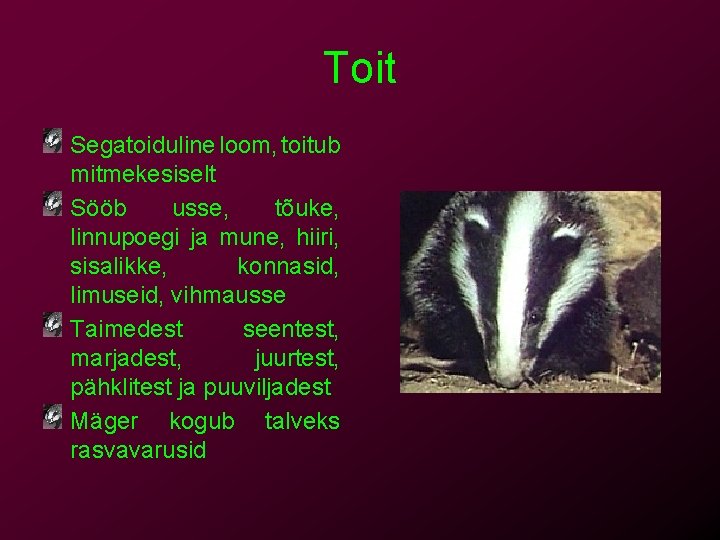 Toit Segatoiduline loom, toitub mitmekesiselt Sööb usse, tõuke, linnupoegi ja mune, hiiri, sisalikke, konnasid,