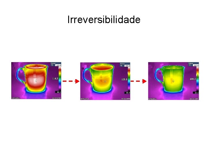 Irreversibilidade 