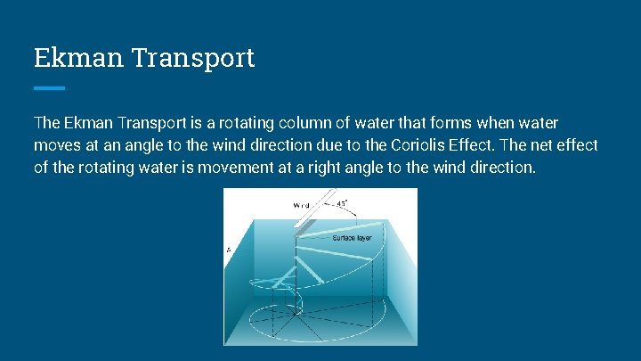 Ekman Transport The Ekman Transport is a rotating column of water that forms when