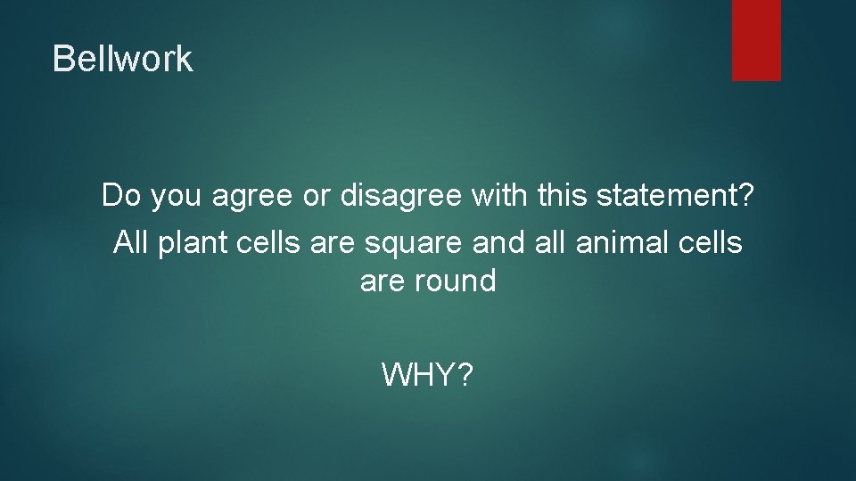 Bellwork Do you agree or disagree with this statement? All plant cells are square