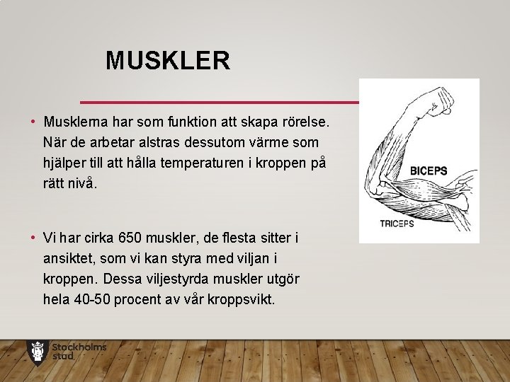 MUSKLER • Musklerna har som funktion att skapa rörelse. När de arbetar alstras dessutom