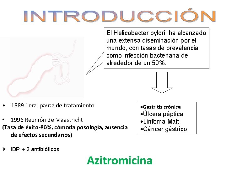 El Helicobacter pylori ha alcanzado una extensa diseminación por el mundo, con tasas de