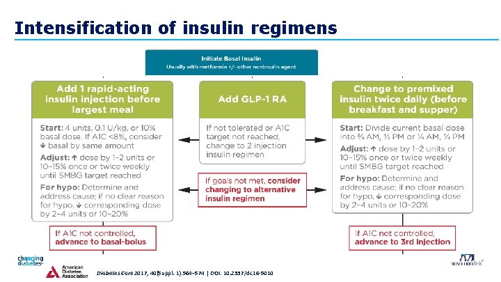 Intensification of insulin regimens Diabetes Care 2017; 40(Suppl. 1): S 64–S 74 | DOI: