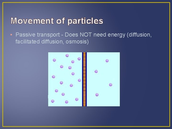Movement of particles • Passive transport - Does NOT need energy (diffusion, facilitated diffusion,