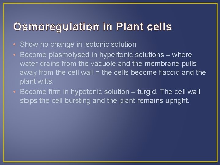 Osmoregulation in Plant cells • Show no change in isotonic solution • Become plasmolysed