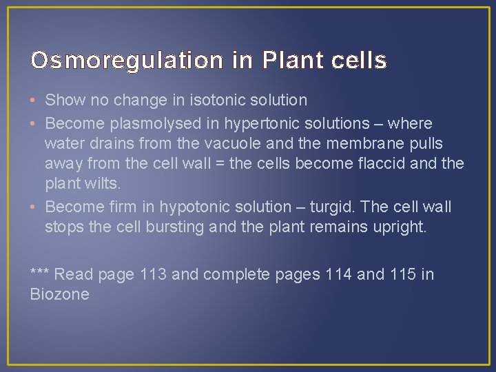 Osmoregulation in Plant cells • Show no change in isotonic solution • Become plasmolysed