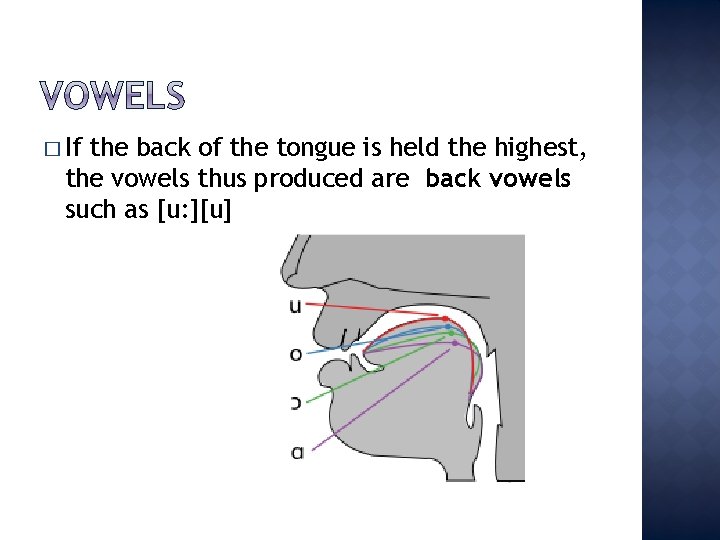 � If the back of the tongue is held the highest, the vowels thus