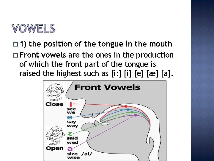 � 1) the position of the tongue in the mouth � Front vowels are