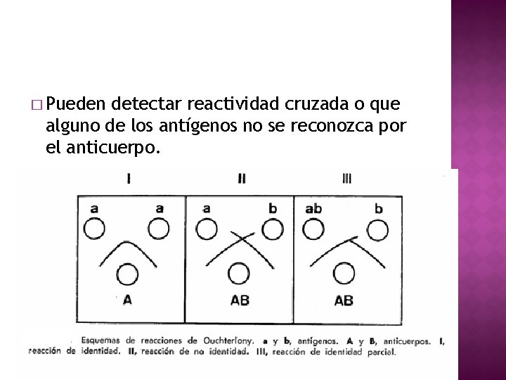 � Pueden detectar reactividad cruzada o que alguno de los antígenos no se reconozca