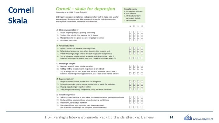 Cornell Skala TID - Tverrfaglig Intervensjonsmodell ved utfordrende atferd ved Demens 14 