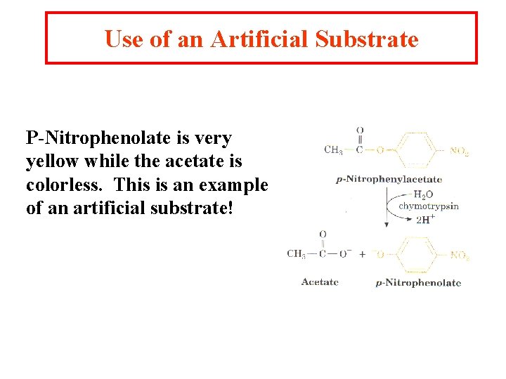 Use of an Artificial Substrate P-Nitrophenolate is very yellow while the acetate is colorless.