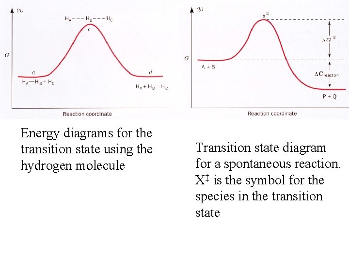 Energy diagrams for the transition state using the hydrogen molecule Transition state diagram for