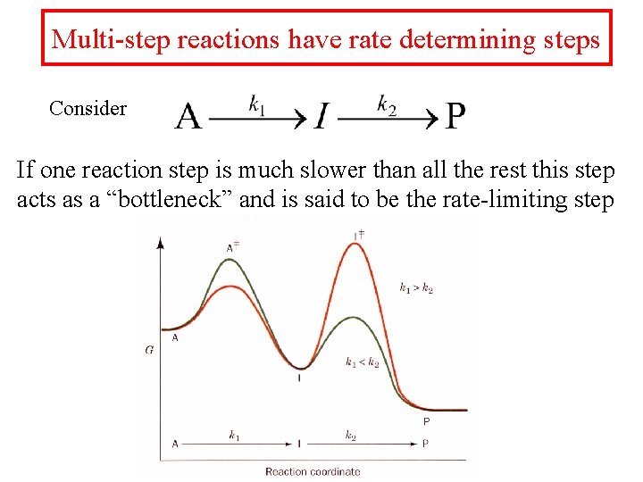 Multi-step reactions have rate determining steps Consider If one reaction step is much slower