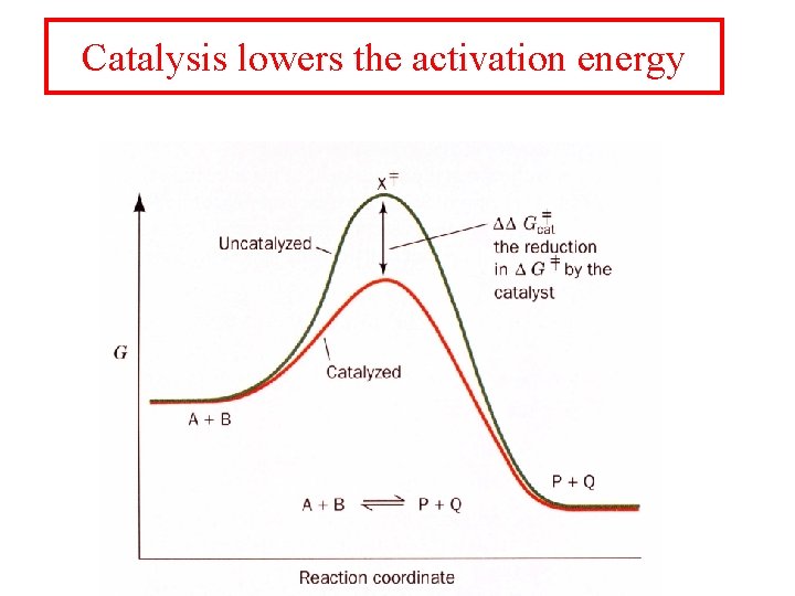 Catalysis lowers the activation energy 