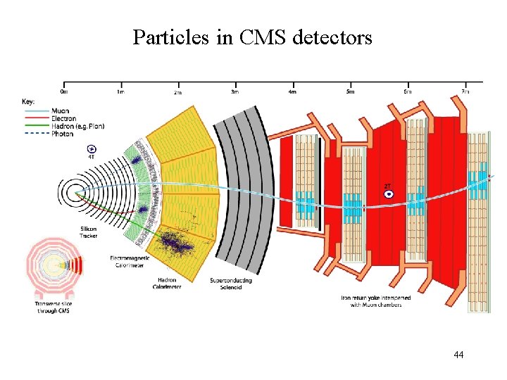 Particles in CMS detectors 44 