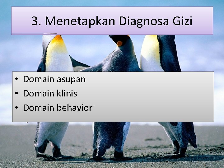 3. Menetapkan Diagnosa Gizi • Domain asupan • Domain klinis • Domain behavior 