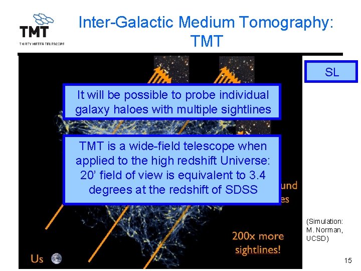 Inter-Galactic Medium Tomography: TMT SL It will be possible to probe individual galaxy haloes