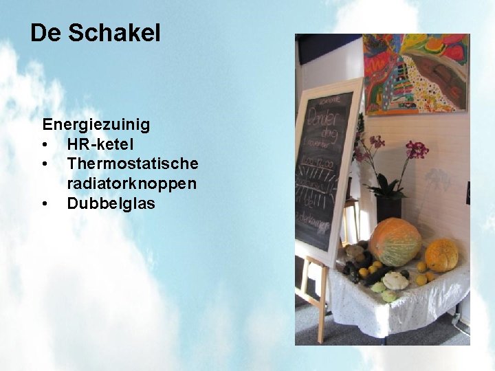 De Schakel Energiezuinig • HR-ketel • Thermostatische radiatorknoppen • Dubbelglas 