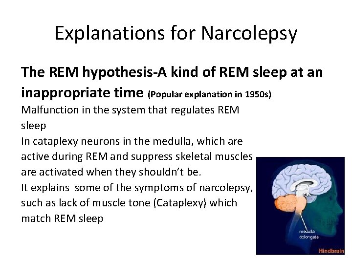 Explanations for Narcolepsy The REM hypothesis-A kind of REM sleep at an inappropriate time