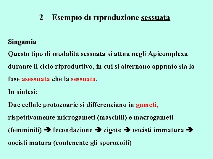 2 – Esempio di riproduzione sessuata Singamia Questo tipo di modalità sessuata si attua