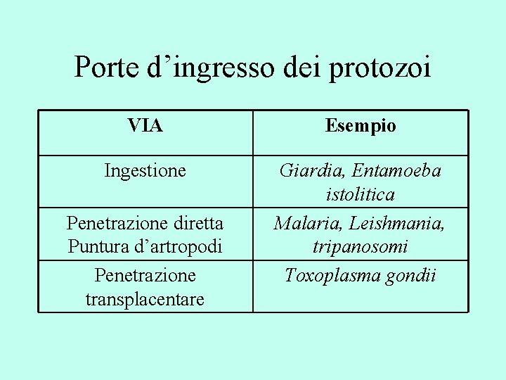 Porte d’ingresso dei protozoi VIA Esempio Ingestione Giardia, Entamoeba istolitica Malaria, Leishmania, tripanosomi Toxoplasma