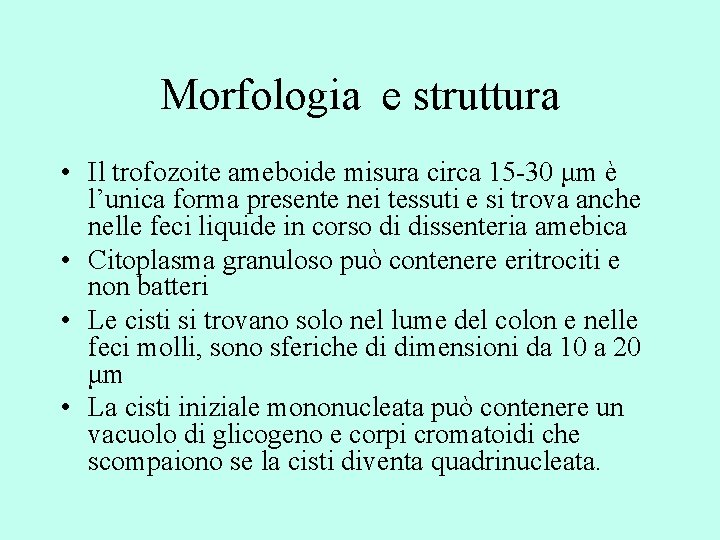 Morfologia e struttura • Il trofozoite ameboide misura circa 15 -30 μm è l’unica