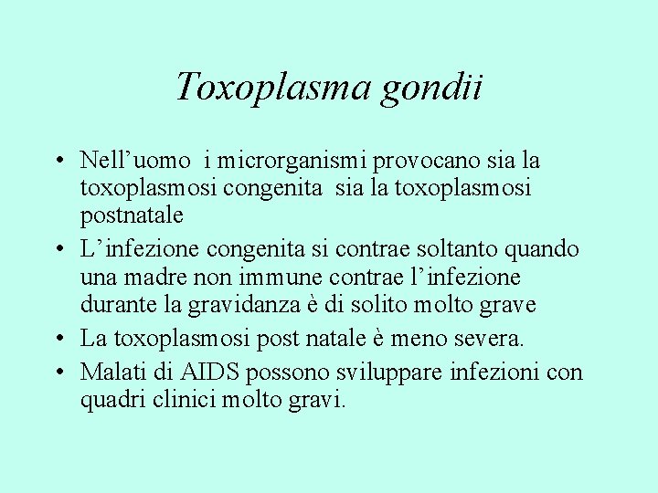 Toxoplasma gondii • Nell’uomo i microrganismi provocano sia la toxoplasmosi congenita sia la toxoplasmosi