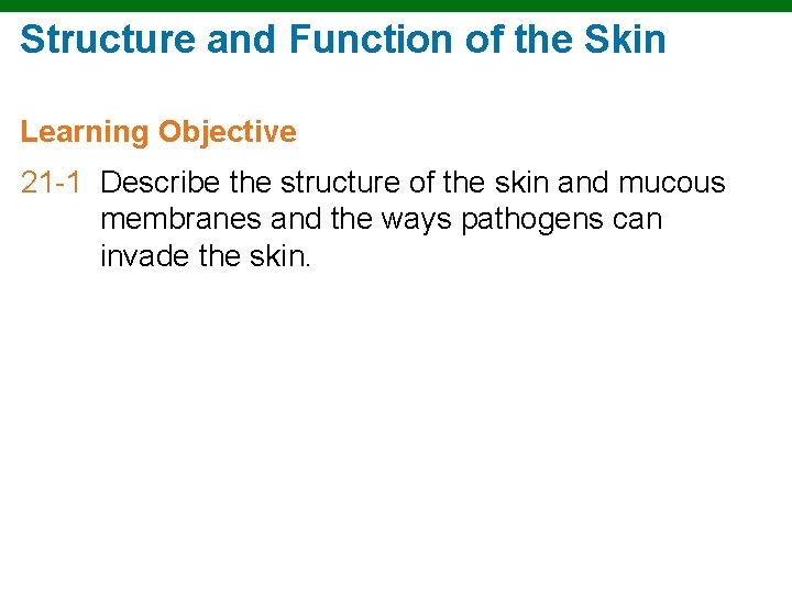 Structure and Function of the Skin Learning Objective 21 -1 Describe the structure of