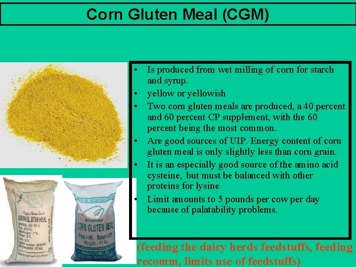 Corn Gluten Meal (CGM) • Is produced from wet milling of corn for starch