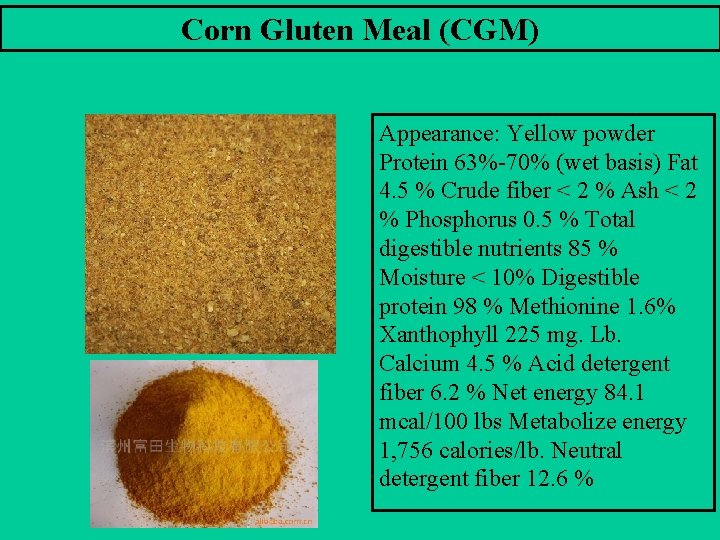 Corn Gluten Meal (CGM) Appearance: Yellow powder Protein 63%-70% (wet basis) Fat 4. 5