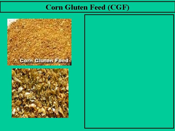 Corn Gluten Feed (CGF) 