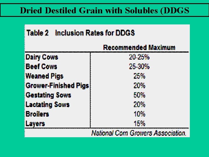 Dried Destiled Grain with Solubles (DDGS 