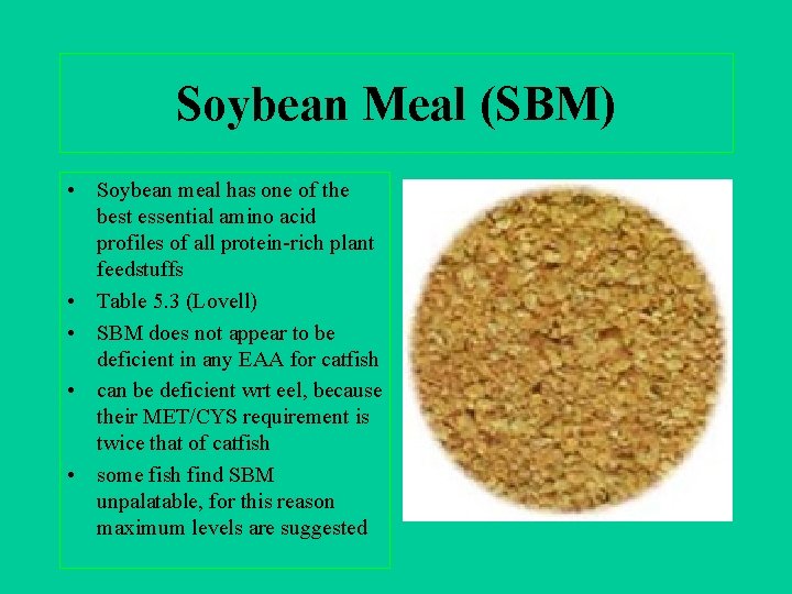 Soybean Meal (SBM) • Soybean meal has one of the best essential amino acid