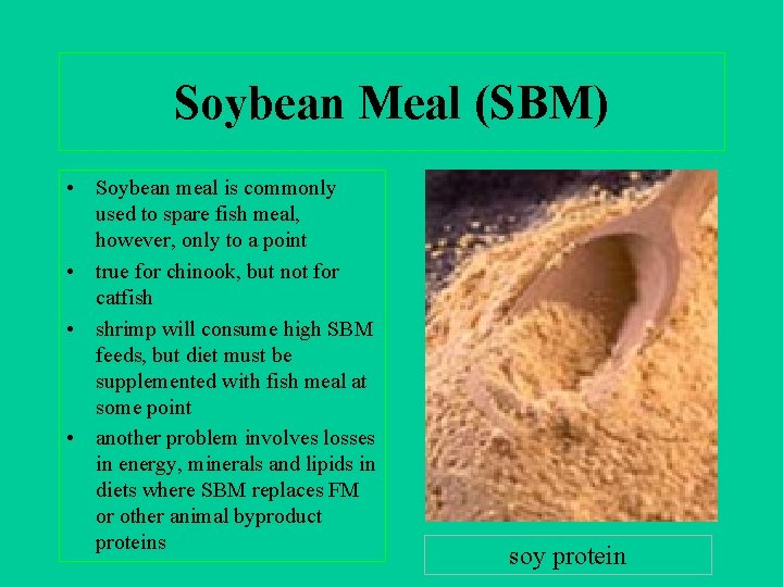 Soybean Meal (SBM) • Soybean meal is commonly used to spare fish meal, however,