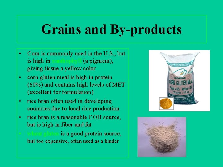Grains and By-products • Corn is commonly used in the U. S. , but