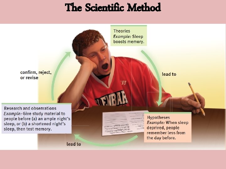 The Scientific Method 