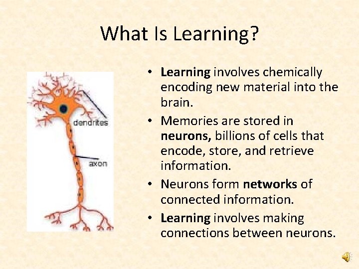 What Is Learning? • Learning involves chemically encoding new material into the brain. •